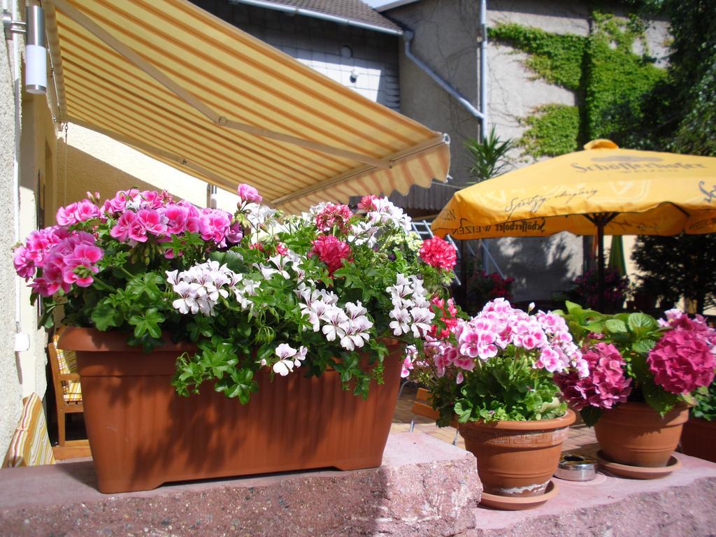 Gasthaus Forelle Thale Buitenkant foto