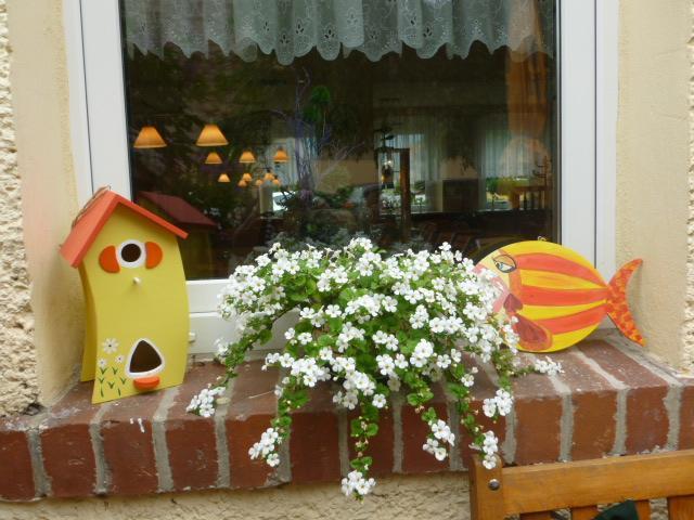 Gasthaus Forelle Thale Buitenkant foto