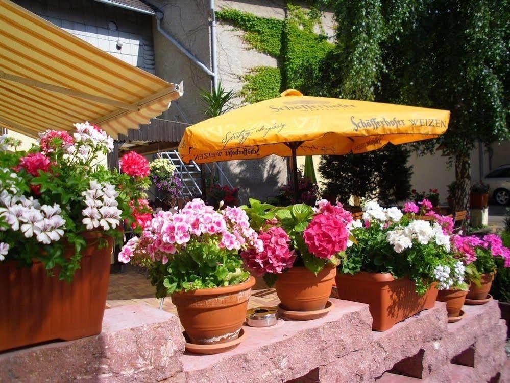 Gasthaus Forelle Thale Buitenkant foto